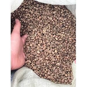 Biji Kopi Robusta asli kering dan bersih 1 kg